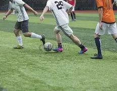 万吨粮食受,重金属污染,土壤污染治,易倍体育平台,易倍体育官方网站,易倍体育登录入口,易倍体育app下载