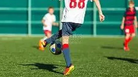 易倍体育 产品 113755 sdc