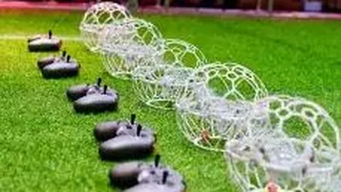 易倍体育 产品 112651 nwf