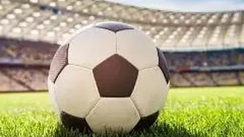 易倍体育 资讯 113557 489