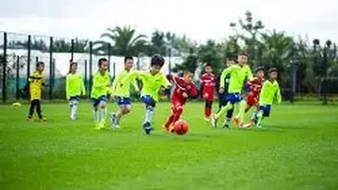 片山皋月财长强调日本央行应定策，对汇率波动忧心，将干预过度波动